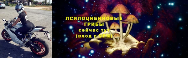 герыч Арсеньев