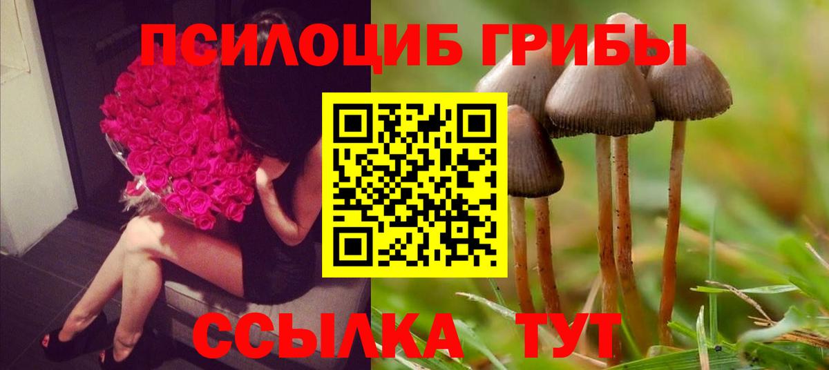 Псилоцибиновые грибы прущие грибы  Вход с VPN  Волгодонск 