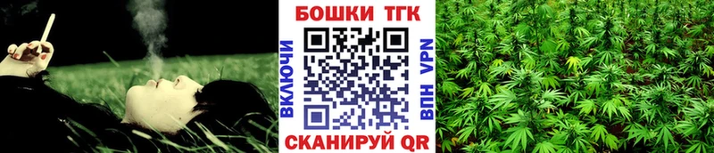 Шишки марихуана план  мега   Волгодонск 